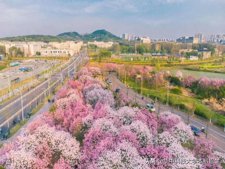 胰腺癌突破性进展,胰腺癌研究最新成果