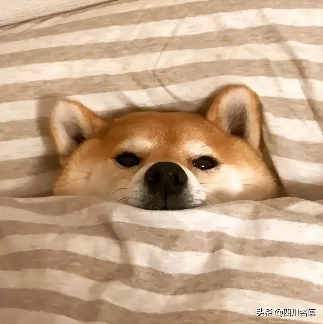 鬼压床很频繁是因为什么,2分钟了解鬼压床的真相