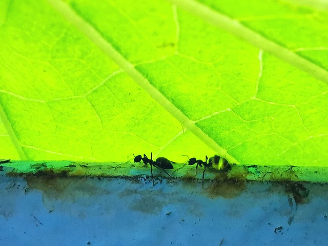 细节决定成败的感悟简短,细节决定成功的十句话