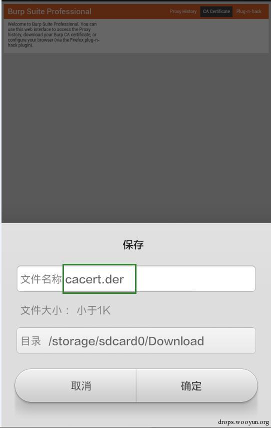 手机抓包工具分析及使用方法,手机app抓包实例教程