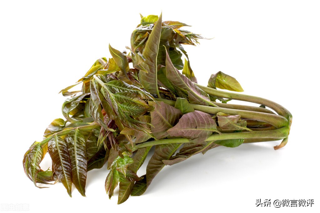 春暖花开香椿吃法,又到了一年一季吃香椿的季节