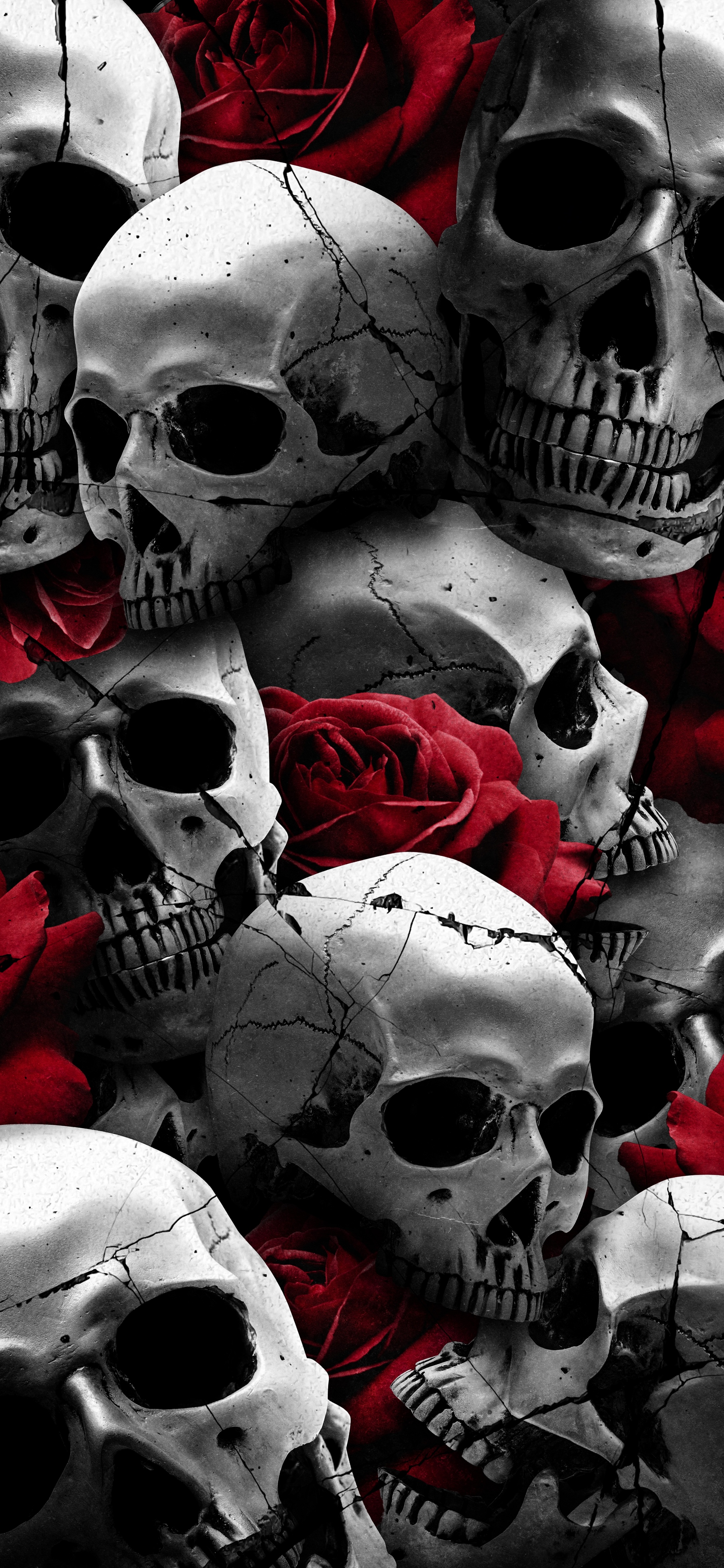 壁纸图集骷髅花,骷髅壁纸超清4k手机壁纸