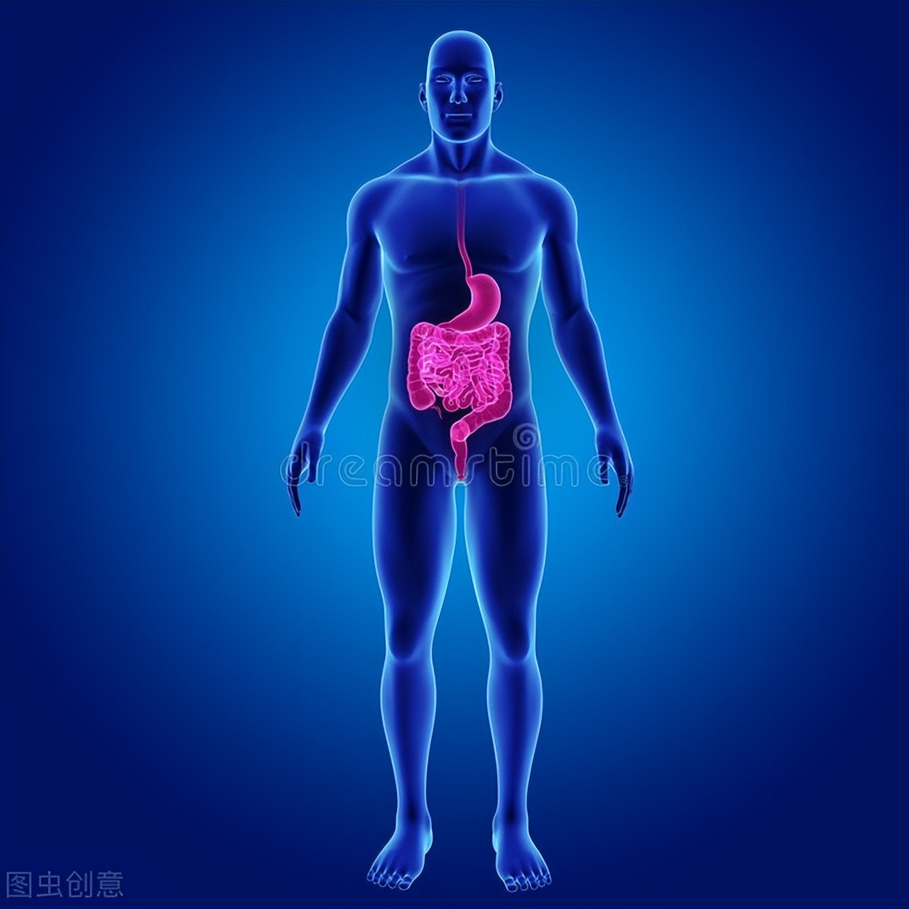 会阴检查去哪一个部门检查,会阴检查宫颈和腹部检查区别