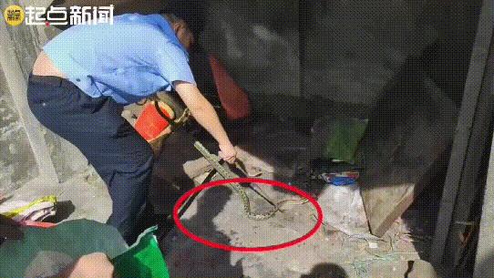 洛阳市幼儿园一键报警,警惕一幼儿园50多名学生感染