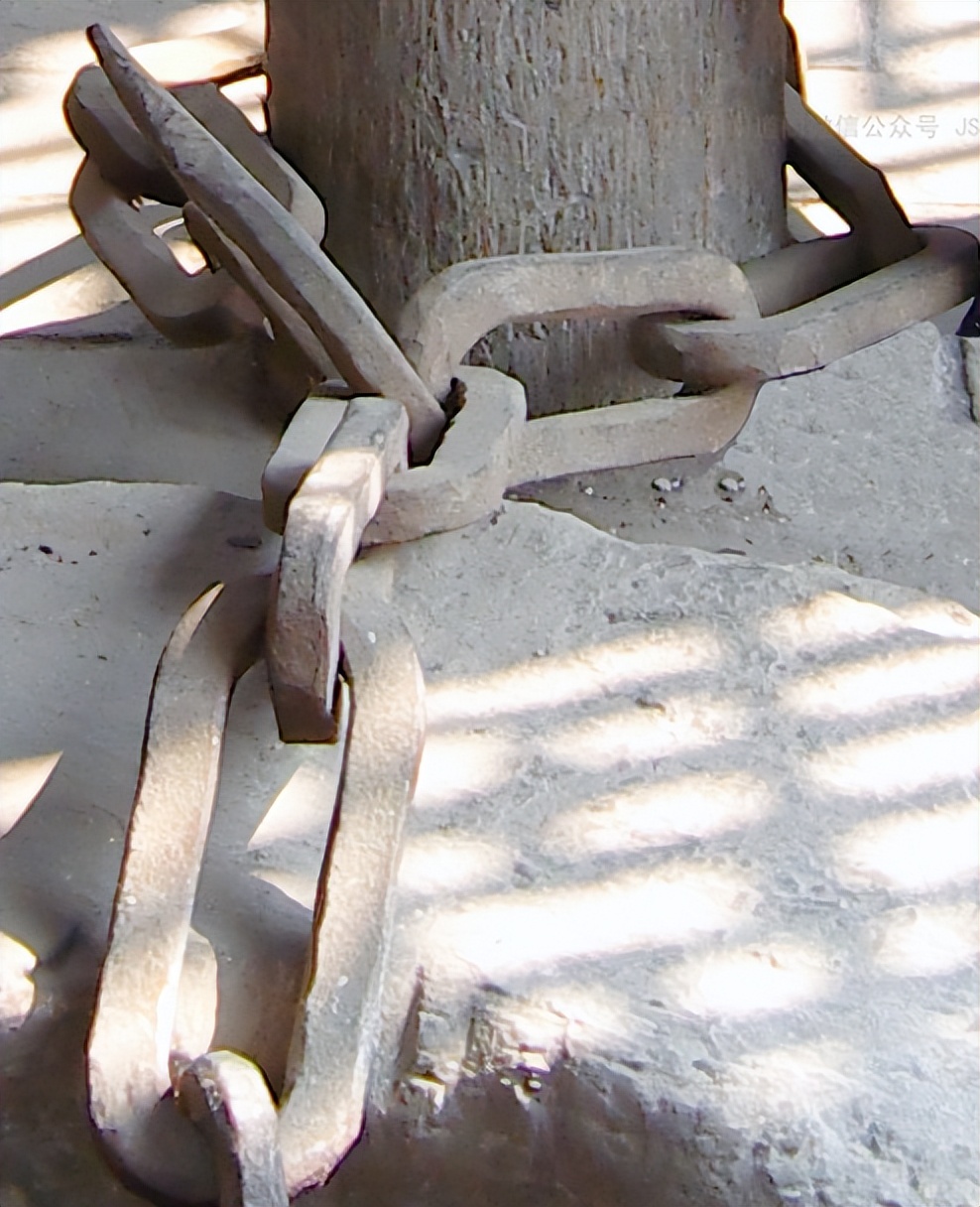 蛟龙真的存在吗,真的有蛟龙这种生物吗