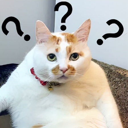 假蜂蜜的猫腻有哪些,央视曝光假蜂蜜达到标准