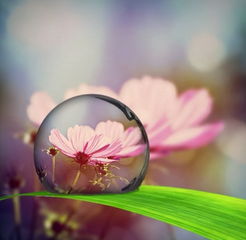 美是世间治愈一切的良药在线阅读,美是治愈一切的良药