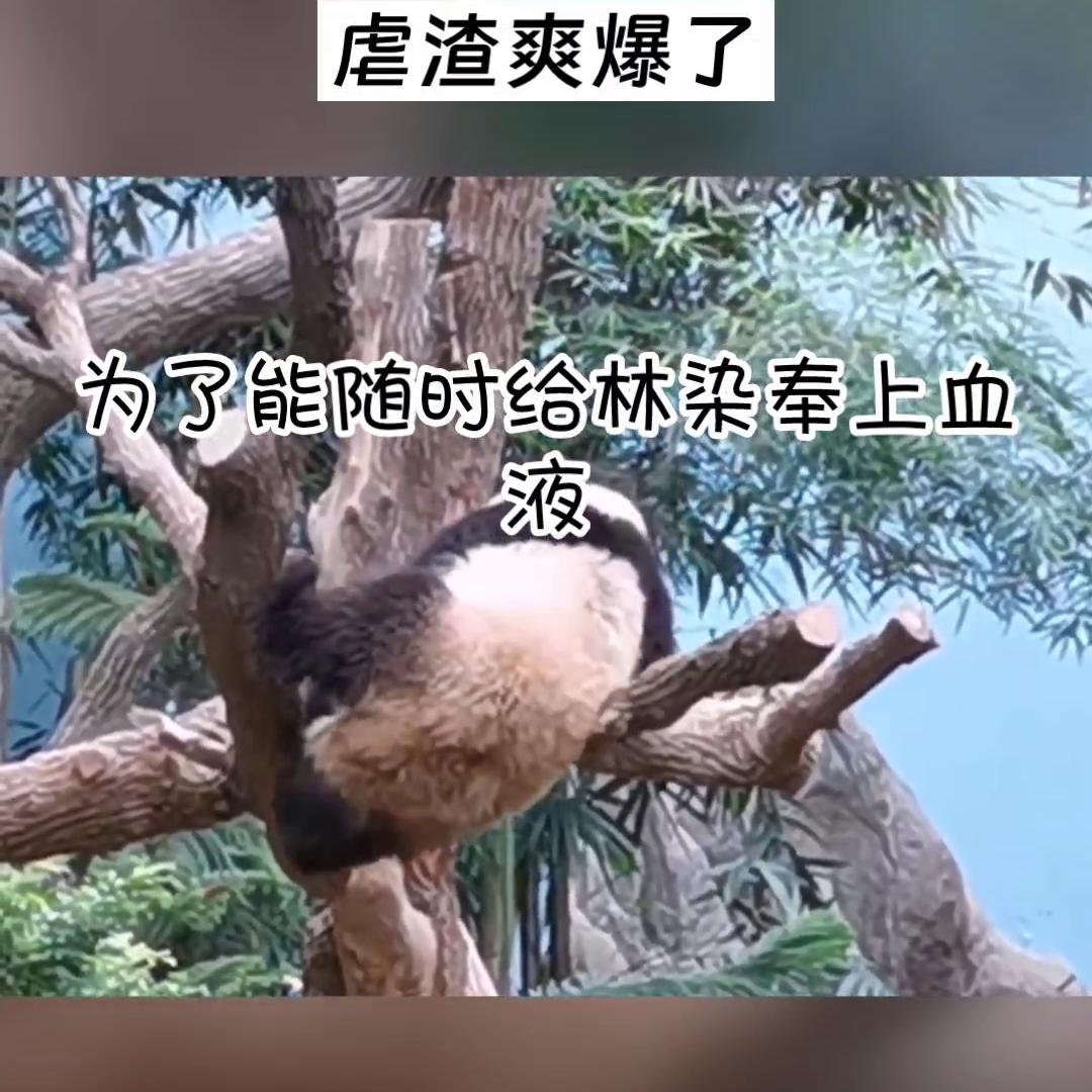 花花华晨宇,花花的世界