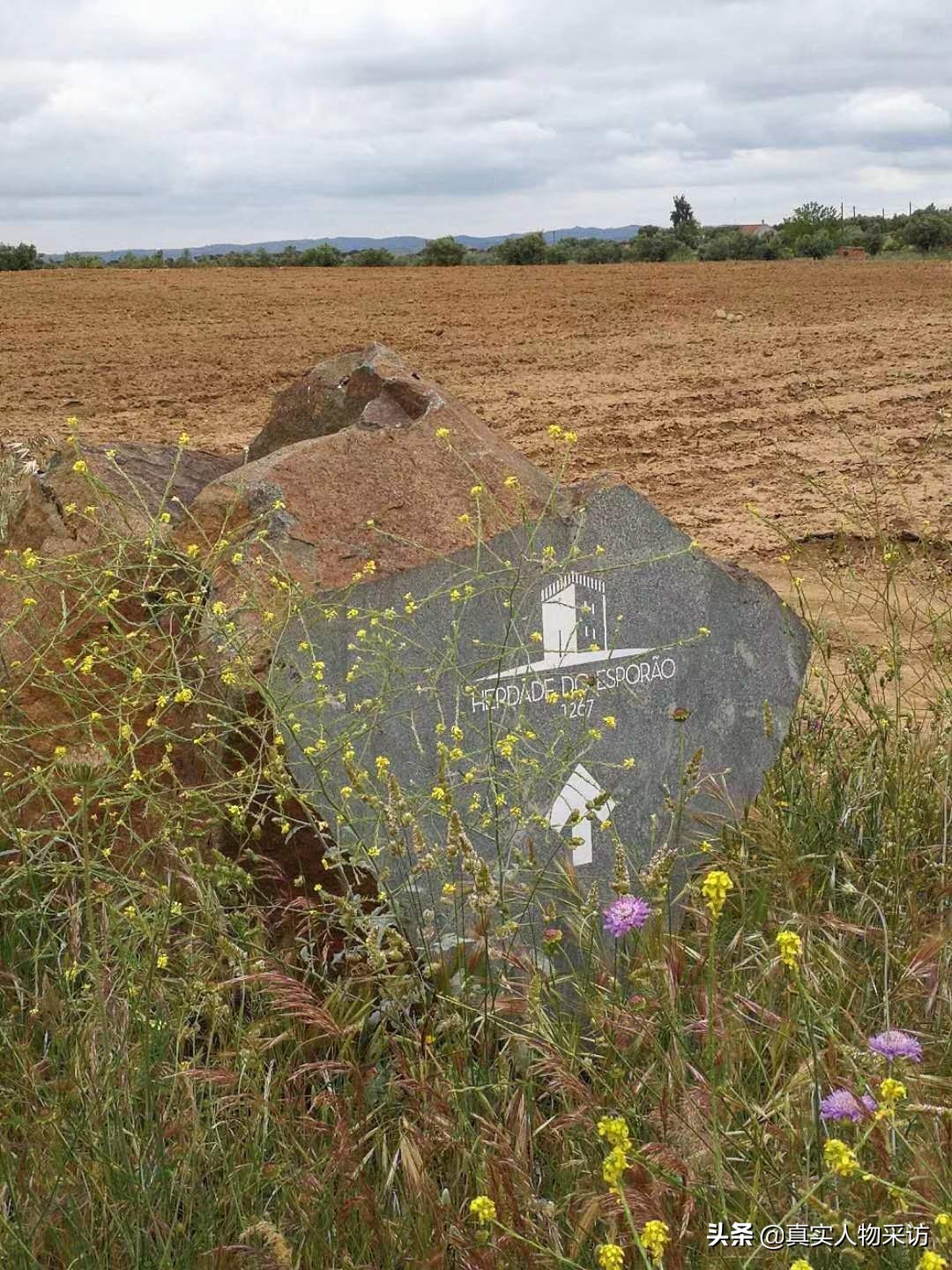 娓╁窞浜哄湪瑗跨彮鐗欏紑楗簵,娓╁窞浜哄湪瑗跨彮鐗欏仛鐢熸剰