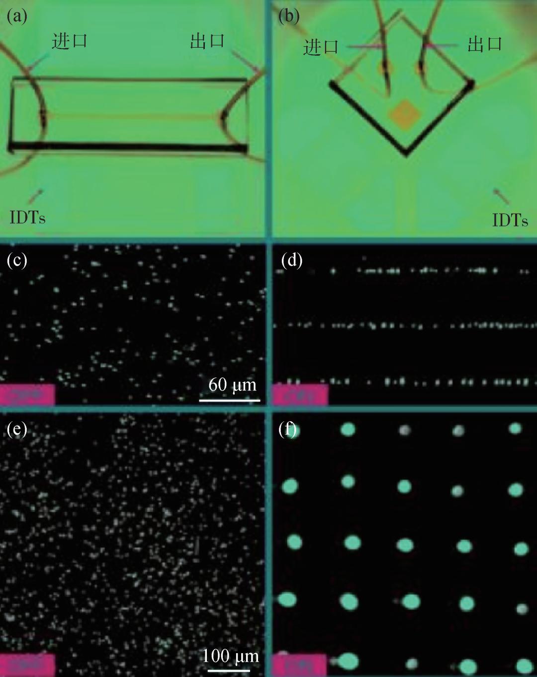 看不见的手发挥作用的机制,看不见手的神奇力量