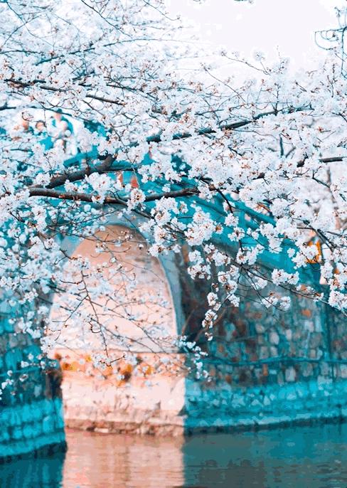 张雪峰吐槽各大高校,张雪峰谈大学奇葩老师