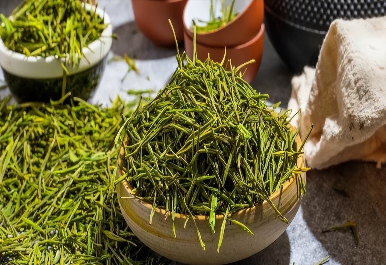 痛心的技术泄密：英国*子骗**从中国偷走两种树苗，中国损失百亿纹银