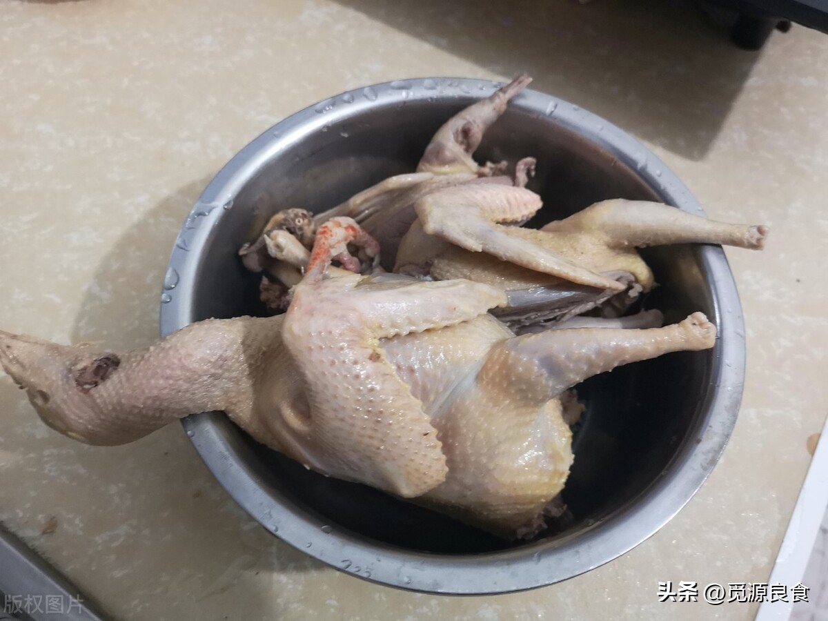 一鸽胜九鸡鸽子怎么炖更有营养,炖鸽子汤是用老鸽子好还是嫩鸽好