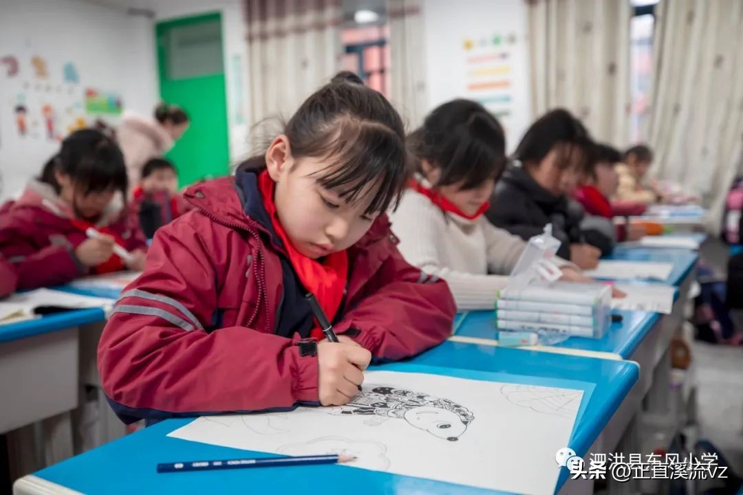 小学艺术教育社团活动记录,泗洪县第十七届小学艺术展演