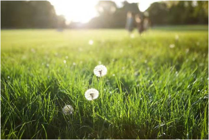 夏日激情萌璀璨国风美韵卷新篇