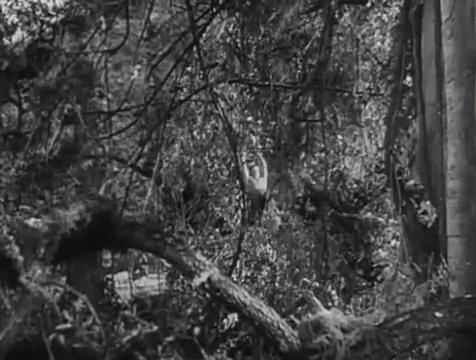 中国银幕上的体育题材为什么少