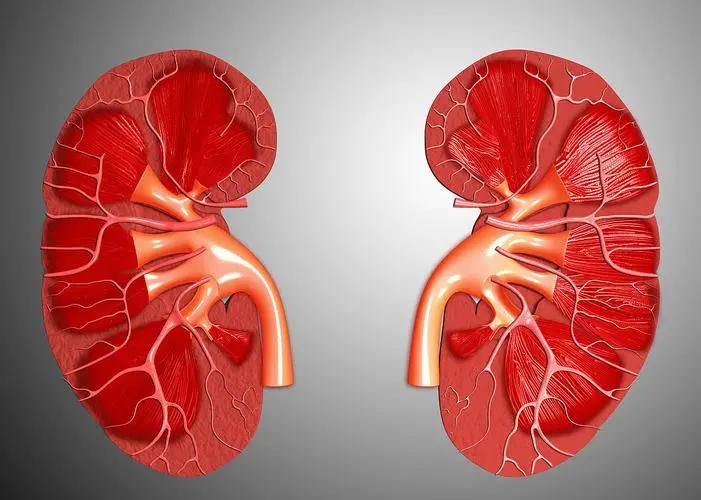 鸡肝忌食什么,鸡肝为什么不建议多吃