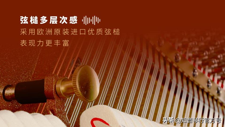 珠江恺撒堡钢琴哪里产的,恺撒堡钢琴有什么缺点