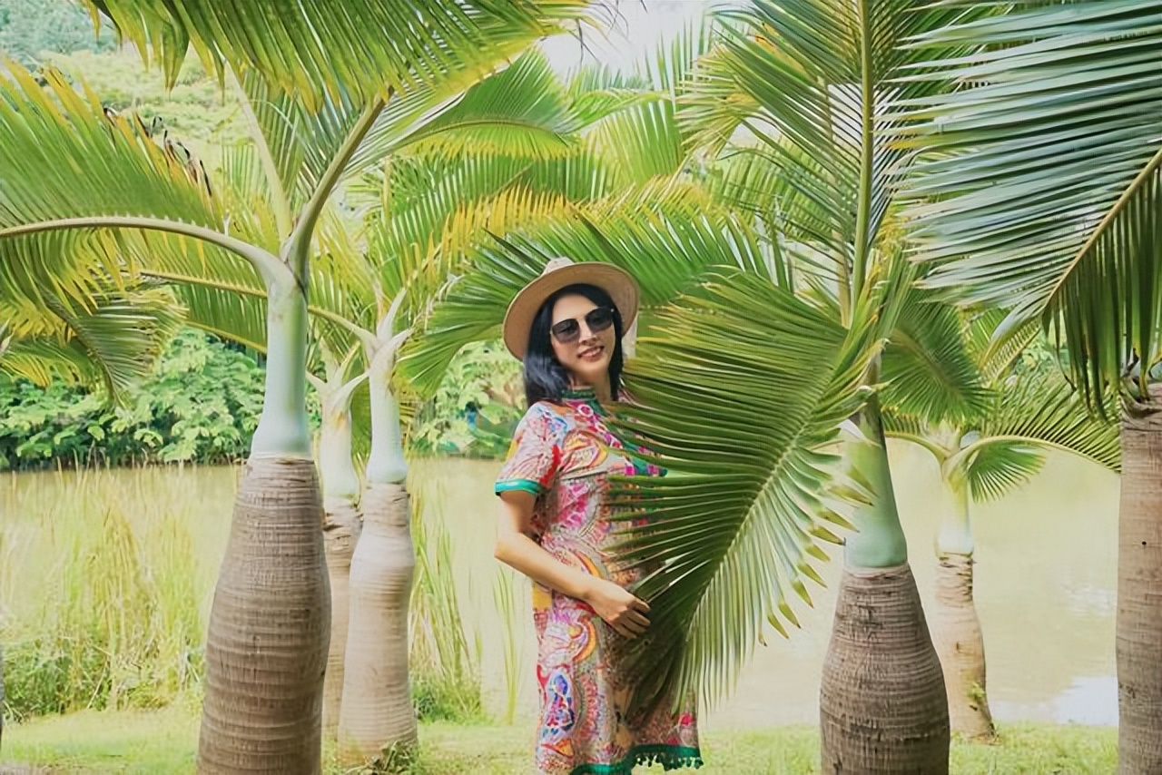 云南西双版纳曼听公园有泰国韵味,西双版纳曼听傣族村寨风景