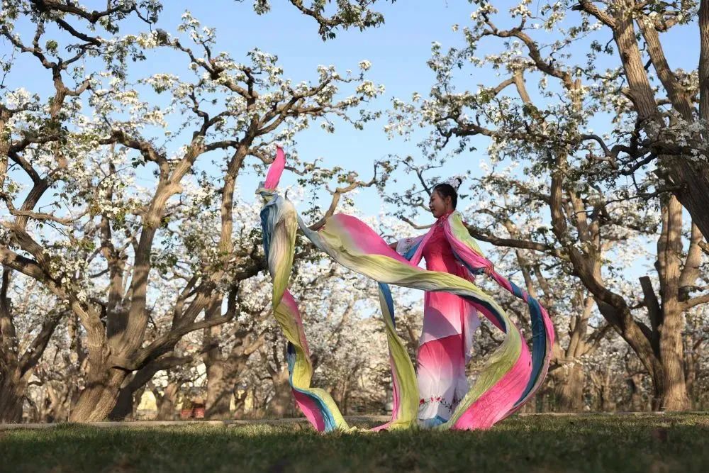 常新常玩！“云旅游”促区域文旅产业“营销”变“赢销”