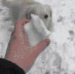 女孩子看起来外表美丽，其实裤袜已经掉到大腿根了！哈哈哈