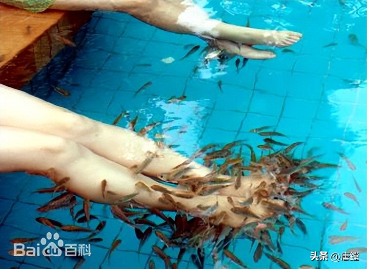 唐风温泉度假村有没有无边泳池,武义唐风温泉度假村私人温泉好吗