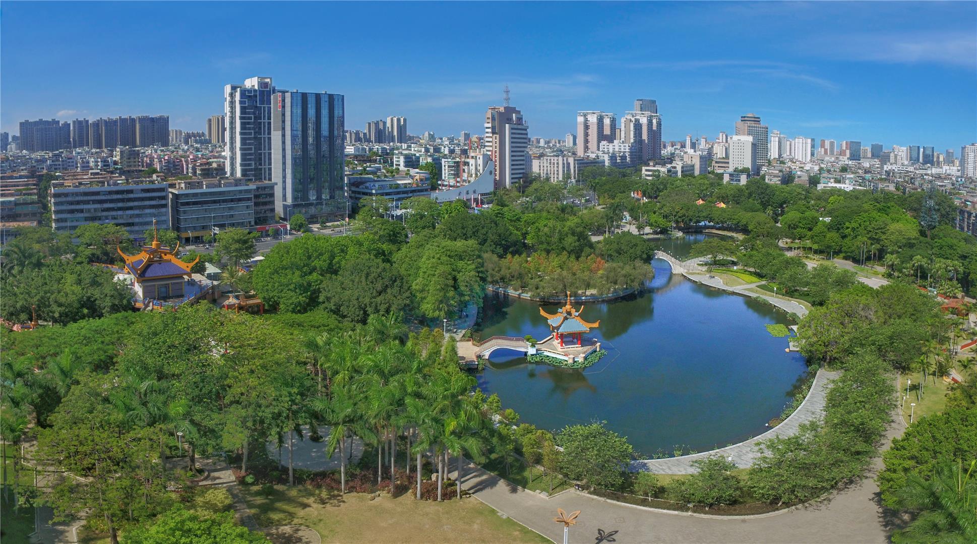 金砂公园的落羽杉红了,金砂公园室内