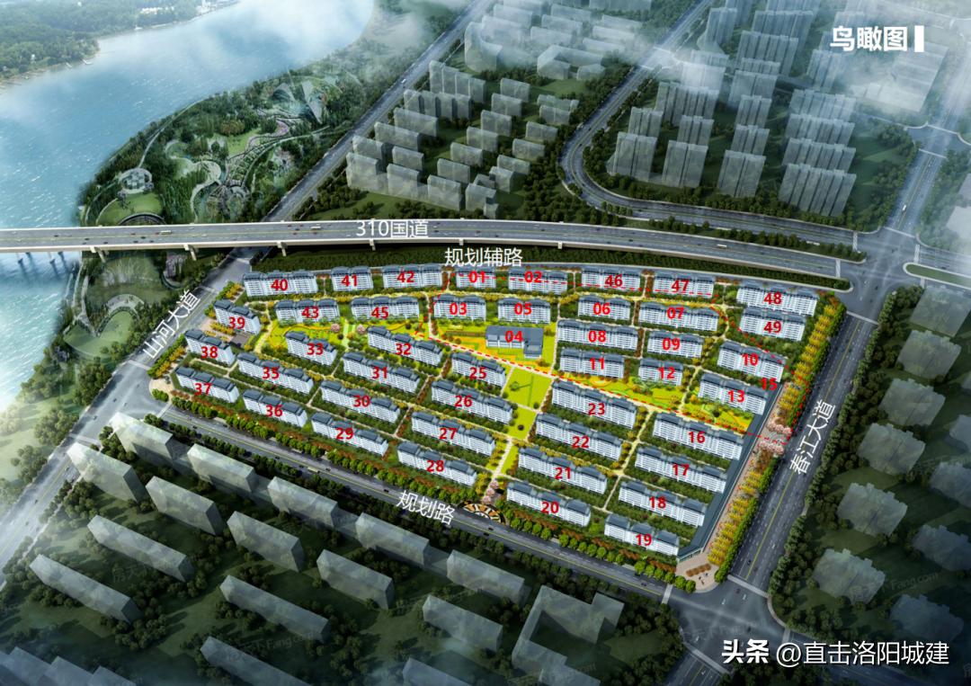 三十里中州路，半部洛阳近代史！下一条中州路，会是谁？