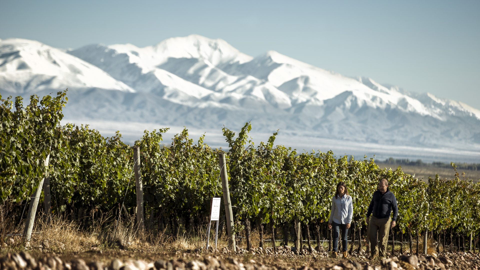 这些全球精酿啤酒你见过吗,这些意大利白葡萄酒你都喝过了吗