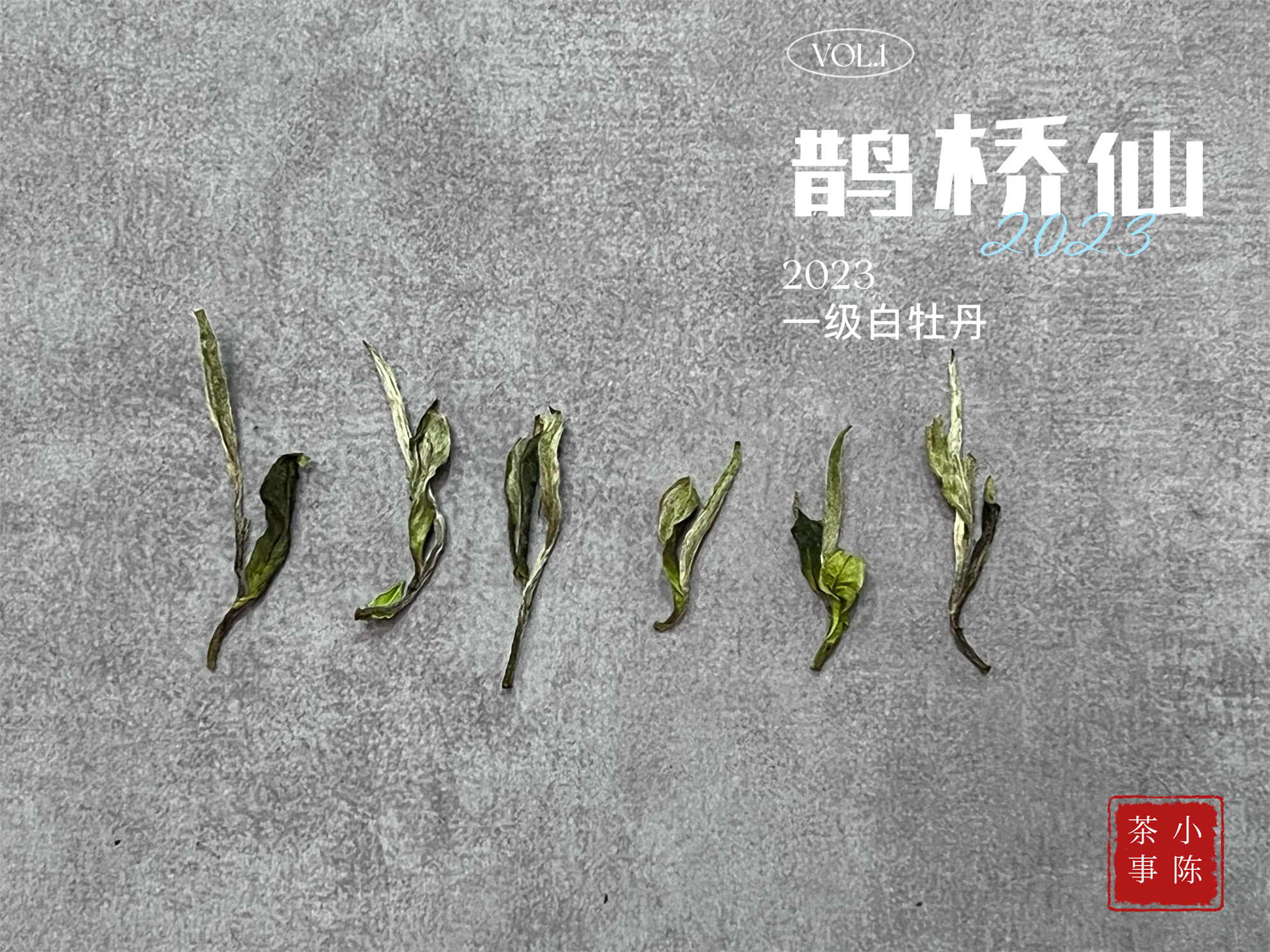 白茶鉴茶全套视频教程,白茶鉴茶教学视频