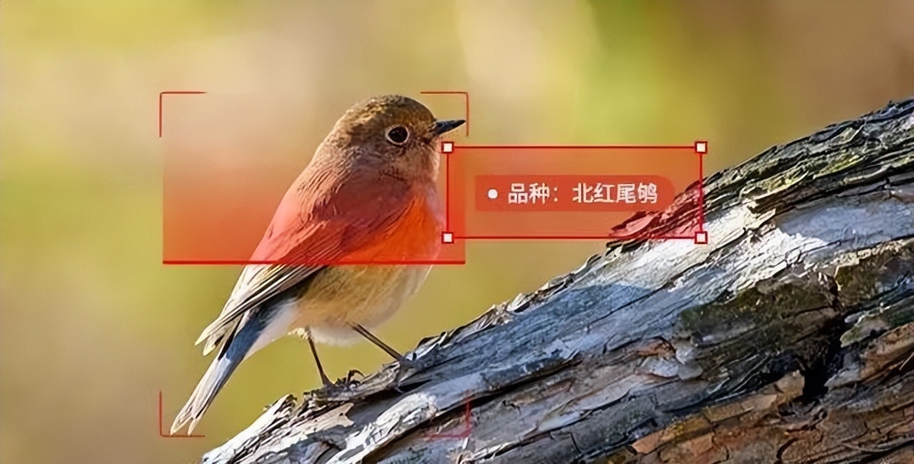 杭州钓鱼男子救人,广东男子在河边救下一只怪鸟