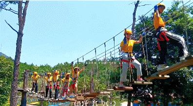 旅游年卡飞熊乐园,水上乐园年卡团购限几人