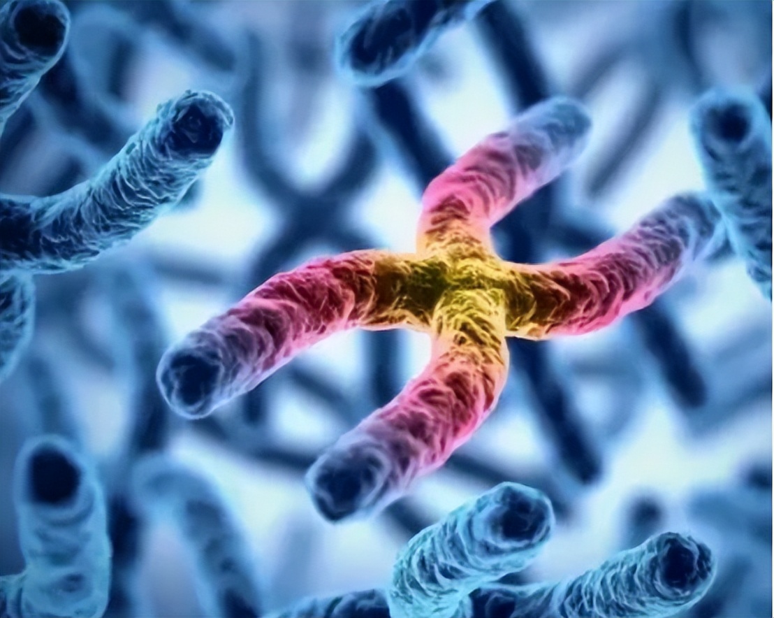 为啥有些人没有腋下毛,为什么有的人没有腋下毛