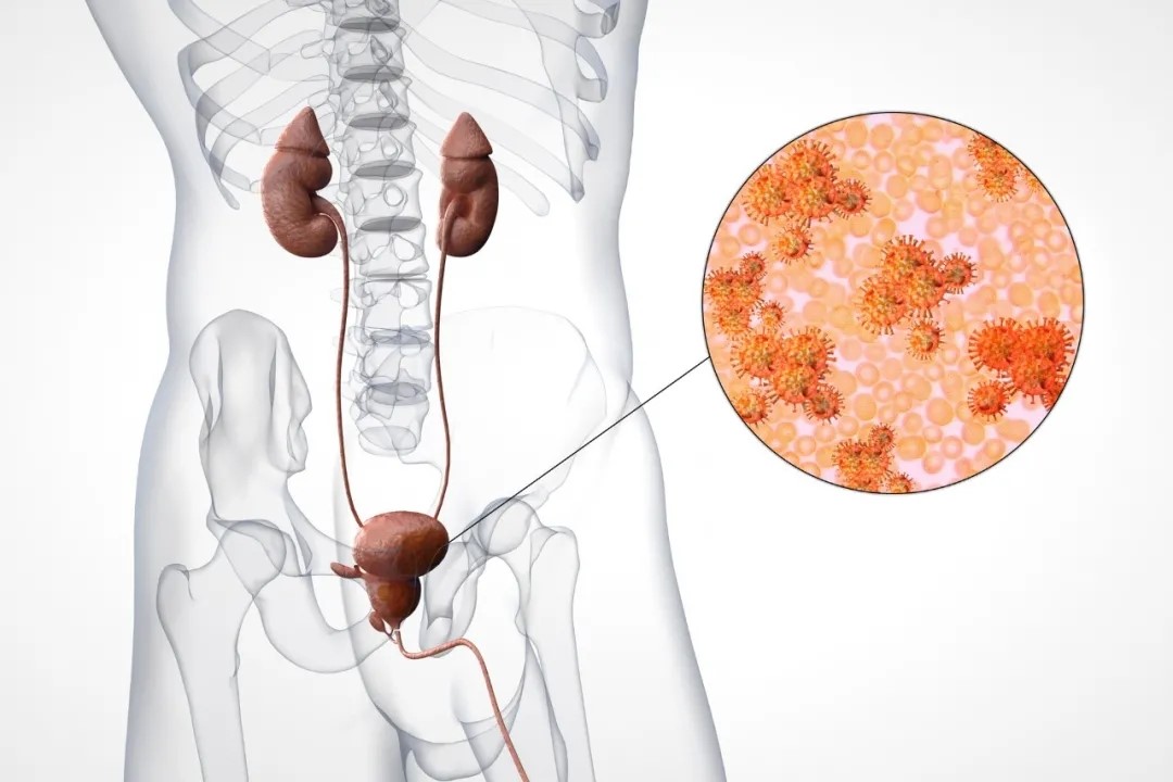 有炎症一直吃抗生素有副作用吗,哪些情况下需要吃抗生素