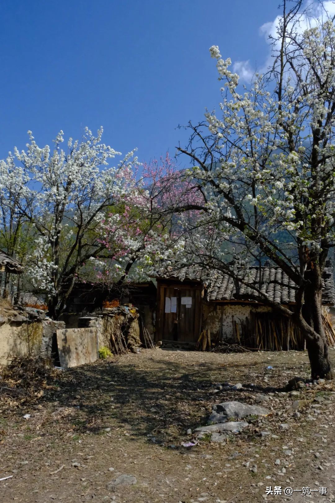 Farland远方之地：一个人类学团队的商业探索