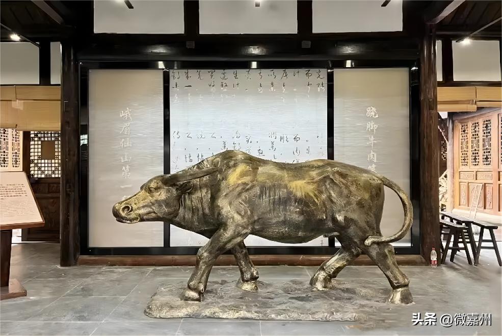 游玩龙舟和赛龙舟,中华龙舟赛游玩攻略