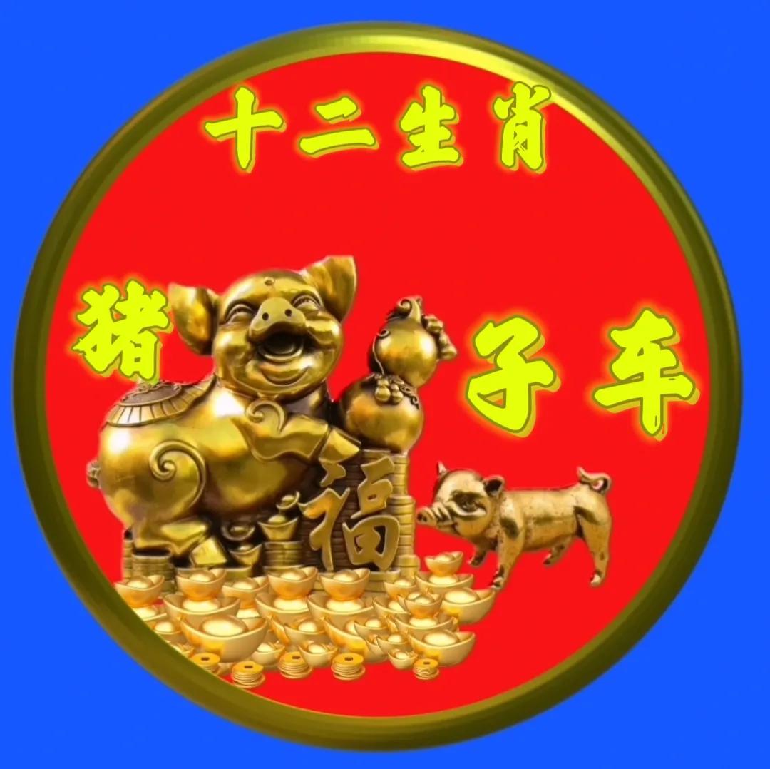 12生肖猪的姓氏头像,十二生肖猪姓氏头像壁纸