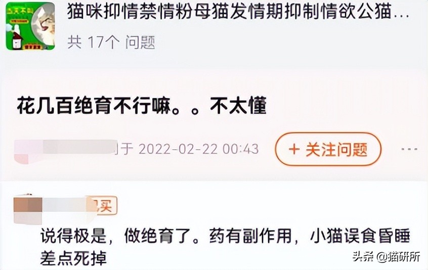 不开刀绝育手术,不打针不手术怎么让母猫绝育