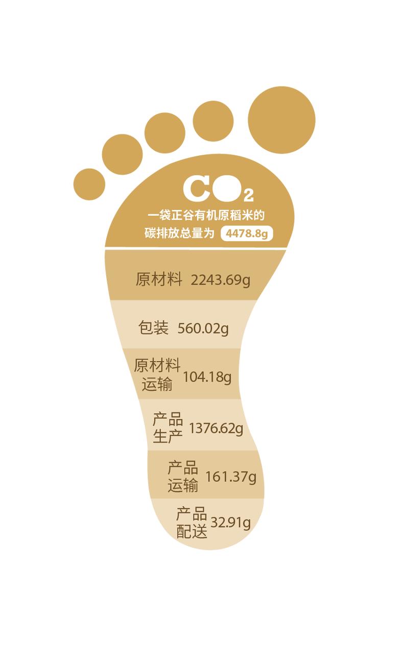 丰收年五常稻花香2号,稻花香的丰收年