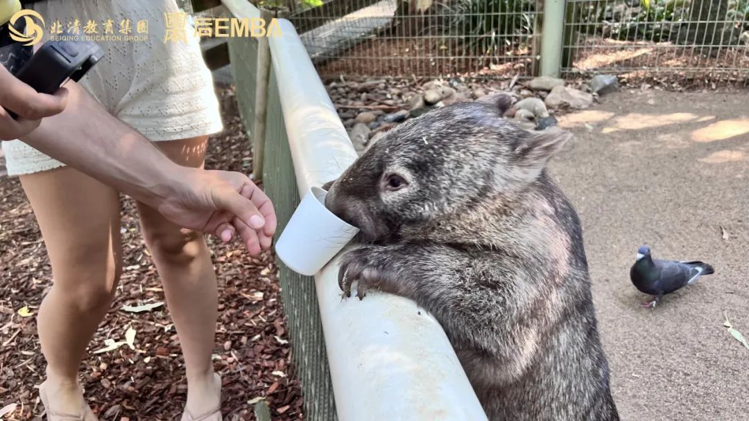 观天地宽广，悟世界坦荡|北清澳大利亚金融科技产业深度考察之旅