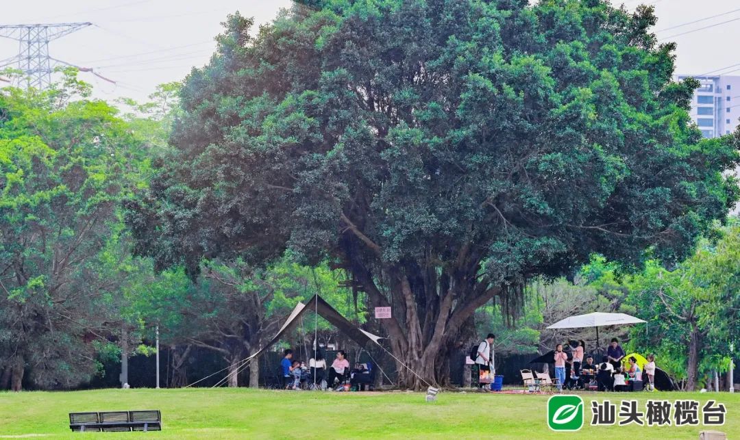 楠溪江露营基地帐篷,东江湖帐篷露营的好地方