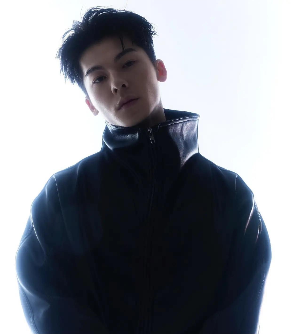 林依晨许光汉电视剧,台湾内地明星片酬