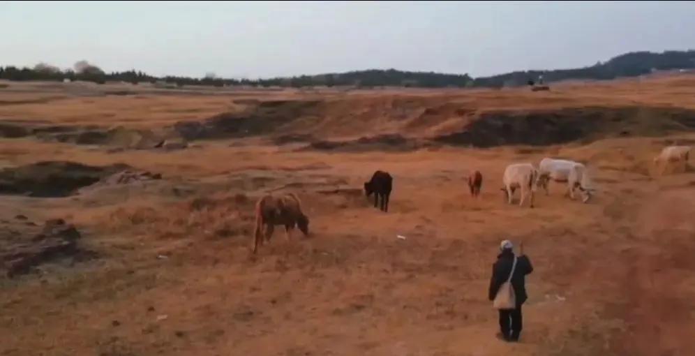 沭阳历史上曾经有“九座山”，那么现在这些“山”又在哪里了