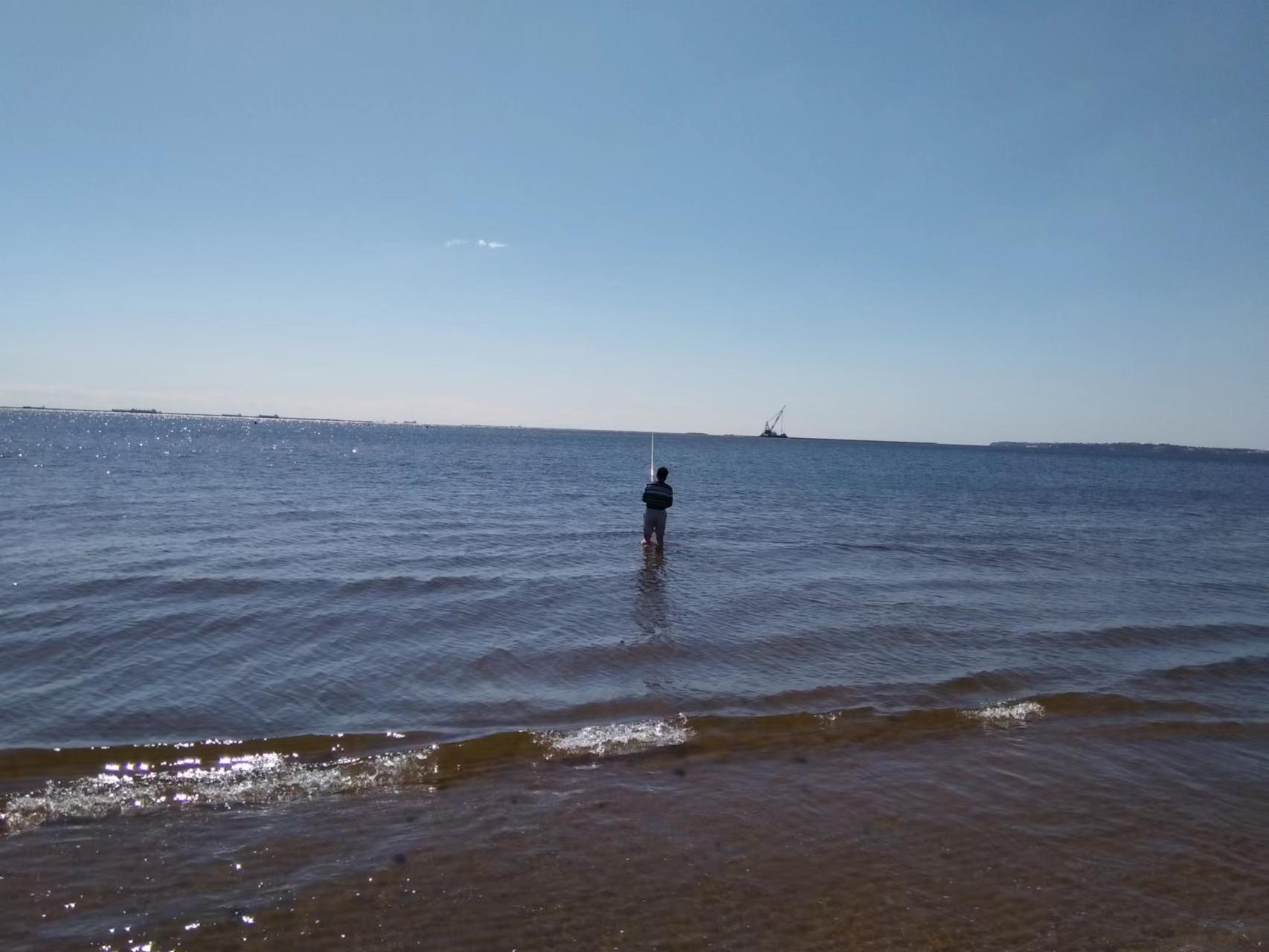 海边最常钓到海鱼品种大全及图片,海边钓鱼最常见的海鱼