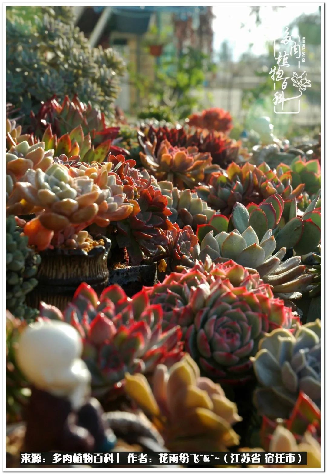 回味童年无忧无虑的快乐时光,童年最快乐的时光