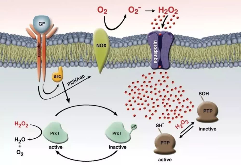 底妆暗沉怎么补妆,底妆暗沉了怎么补妆