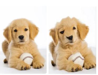 轻量级图像增强,图像增强的展望