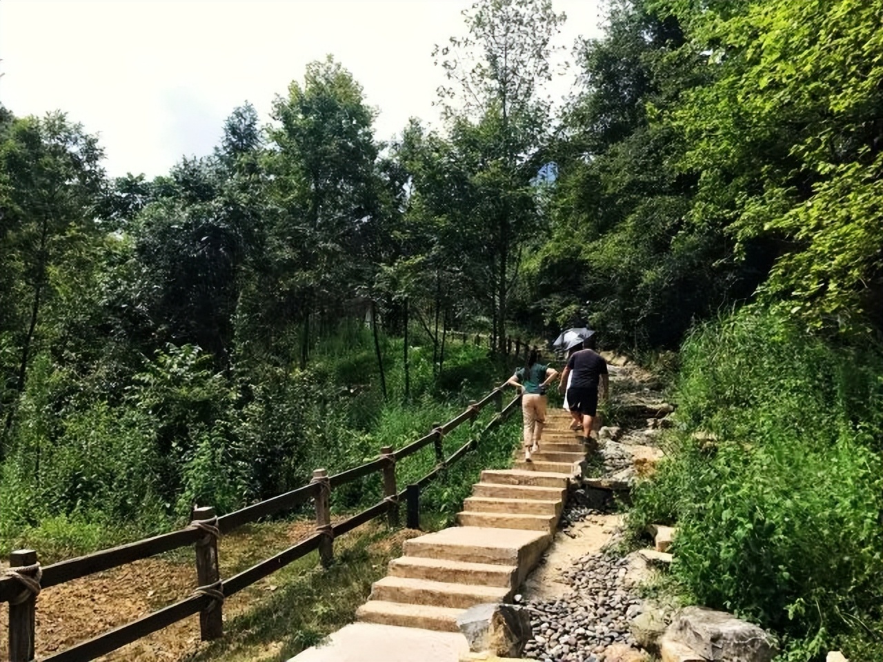 乡村改造创意工坊设计概念,极简乡村改造设计