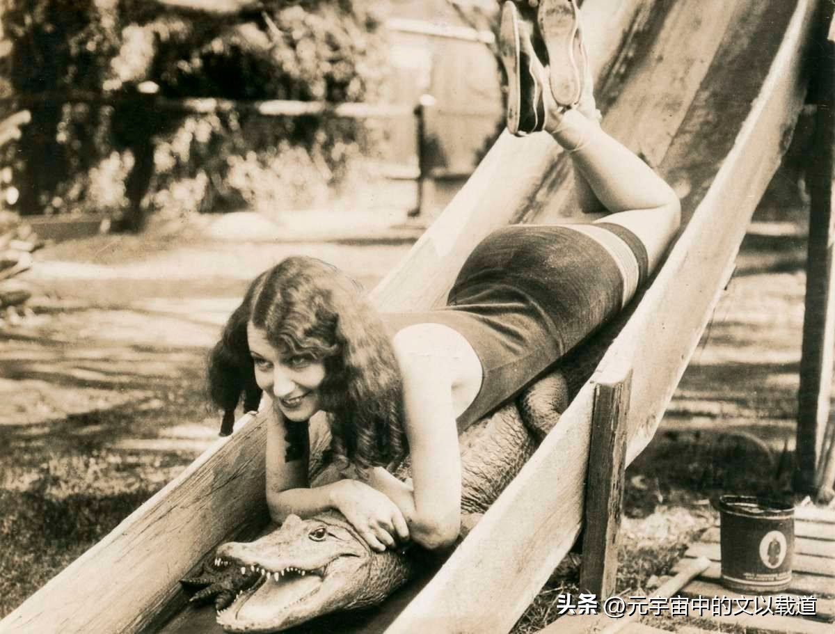 历史影像66,看得见的历史完整版