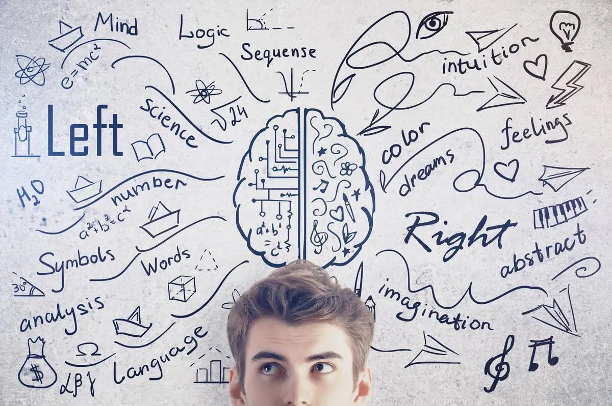 开发右脑的十种方法,开发右脑的小方法